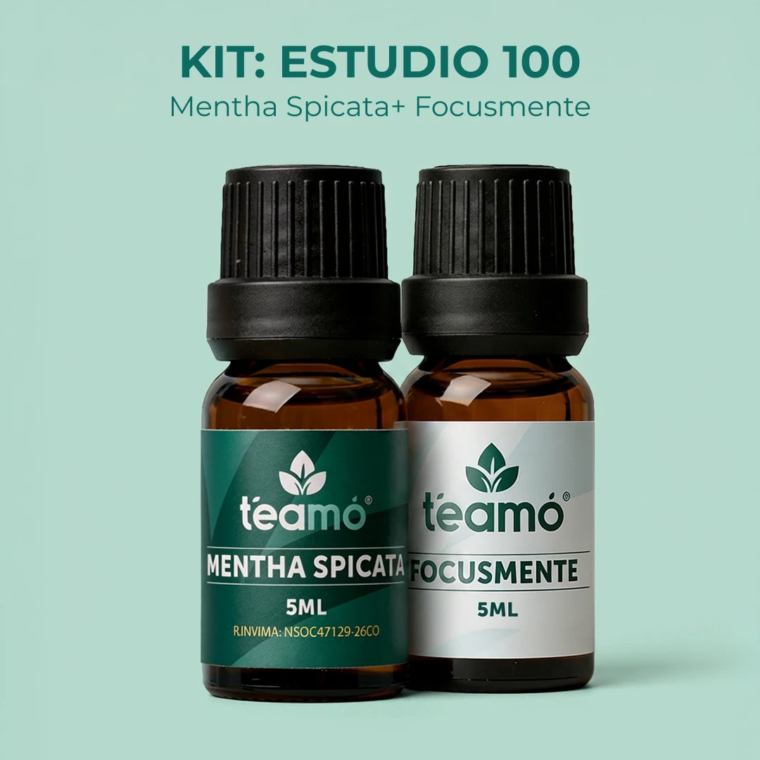 Kit | Estudio 100