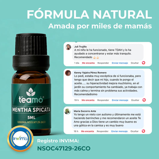 Mentha Spicata |