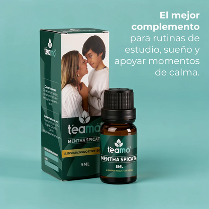 Mentha Spicata |