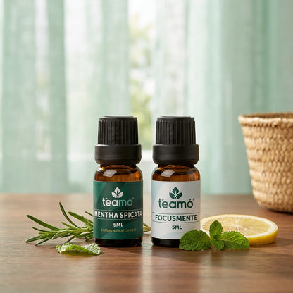 Kit | Estudio 100