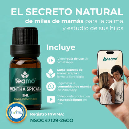 Mentha Spicata |