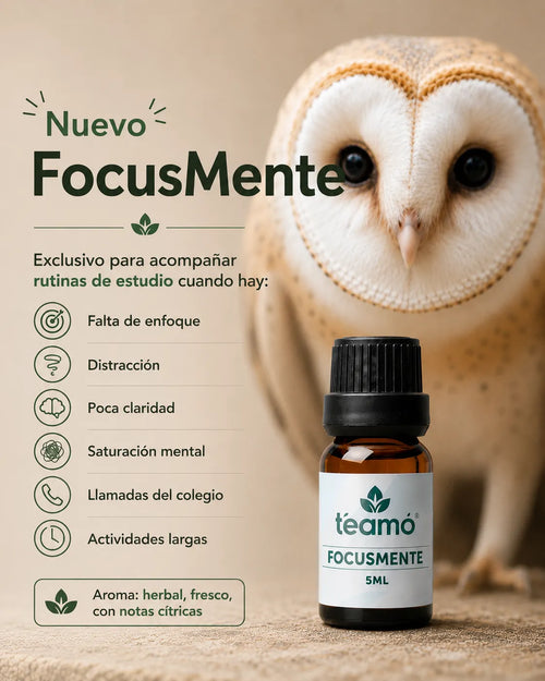 FOCUSMENTE