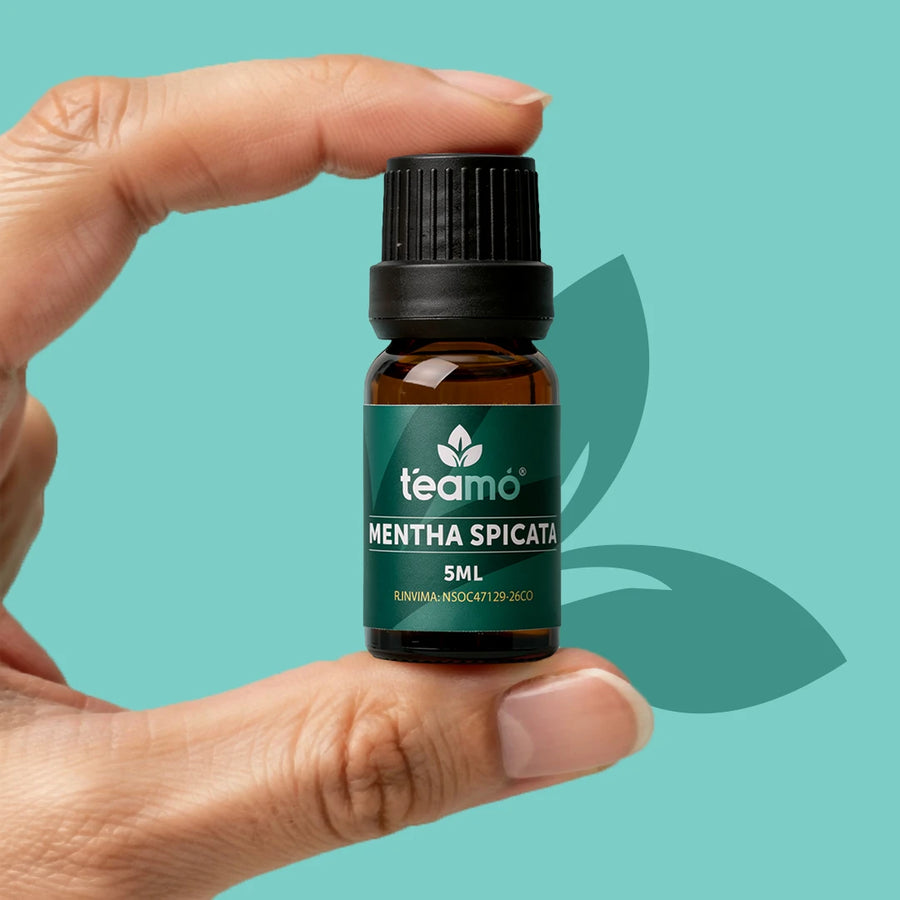 Mentha Spicata |