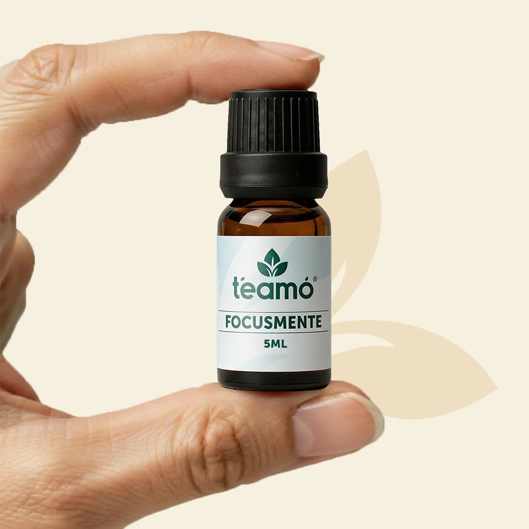 Focusmente |